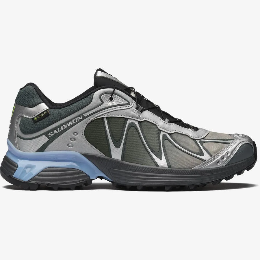 XT-WHISPER GTX Gris / Vert