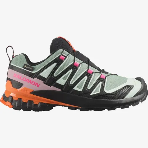 XA PRO 3D V9 GORE-TEX STORM Noir / Vert