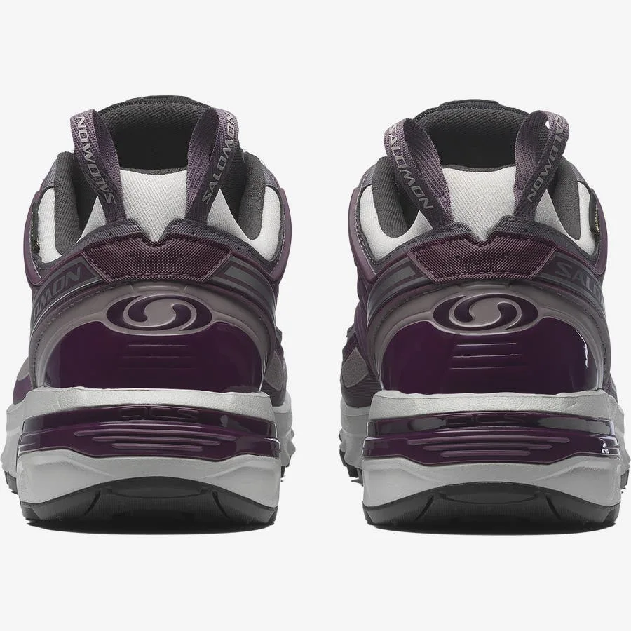 ACS PRO GORE-TEX Violet / Gris
