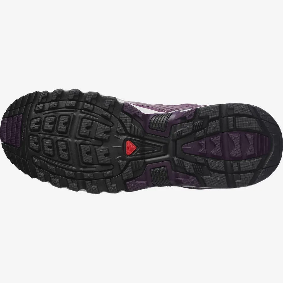 ACS PRO GORE-TEX Violet / Gris