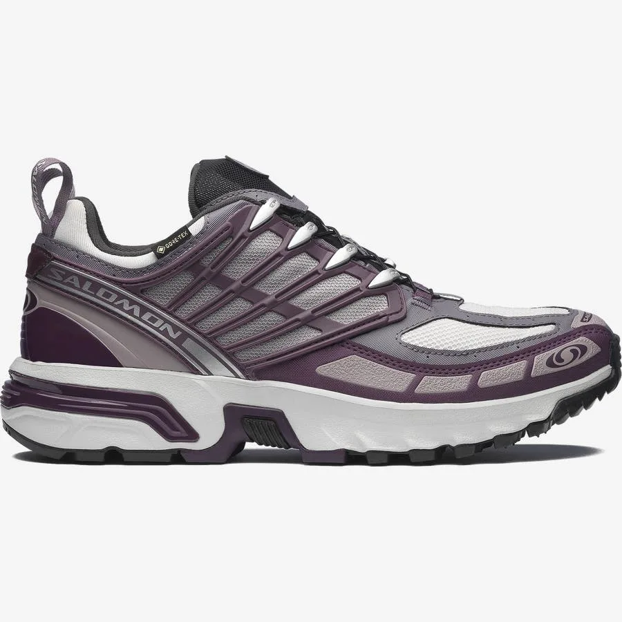 ACS PRO GORE-TEX Violet / Gris