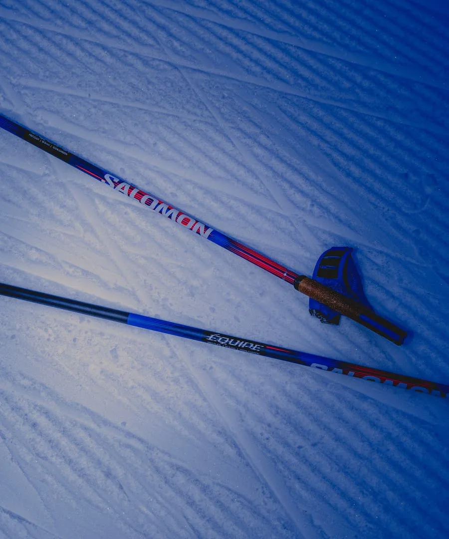 AERO GLIDE 4 GRADIENT Gris / Bleu