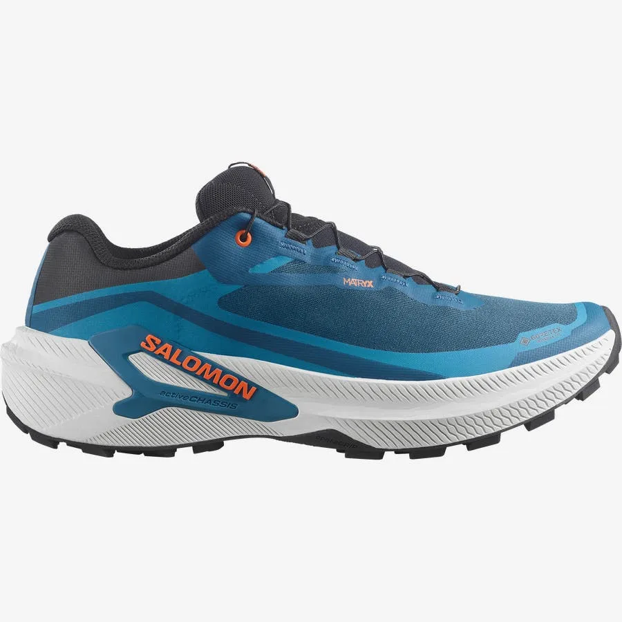 GENESIS 2 GORE-TEX Bleu / Gris